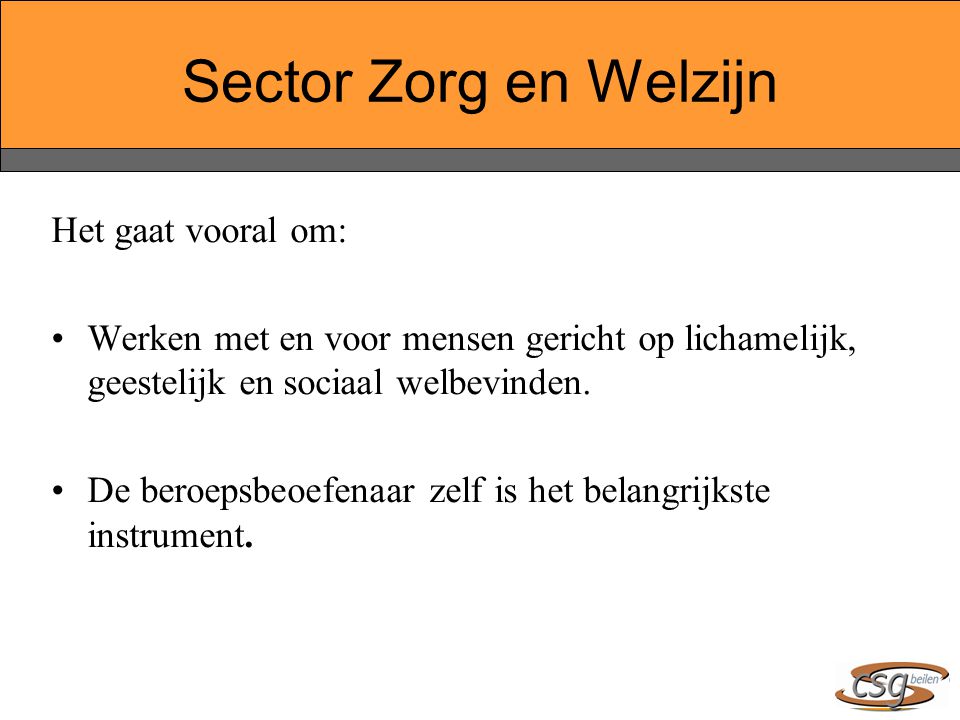Sector Zorg en Welzijn Het gaat vooral om: