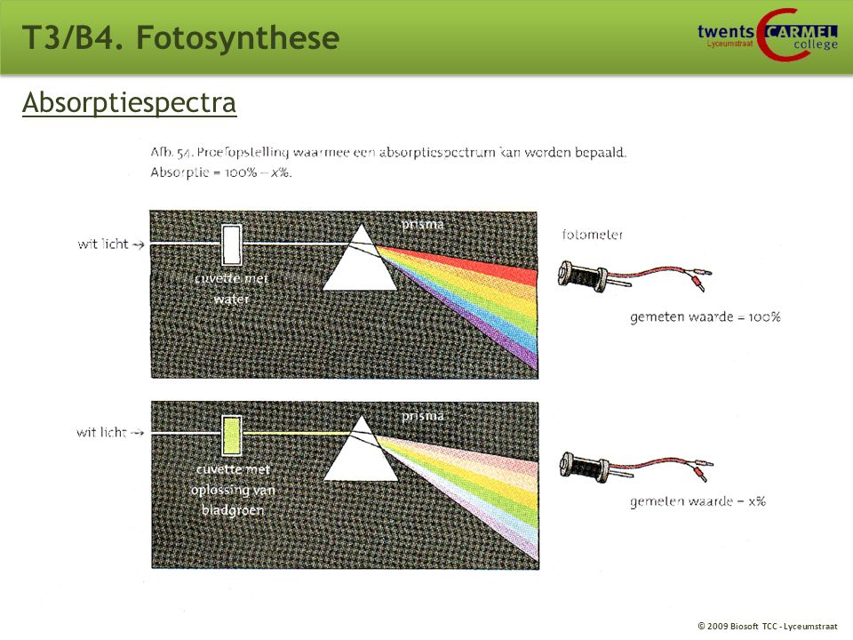 T3/B4. Fotosynthese Absorptiespectra