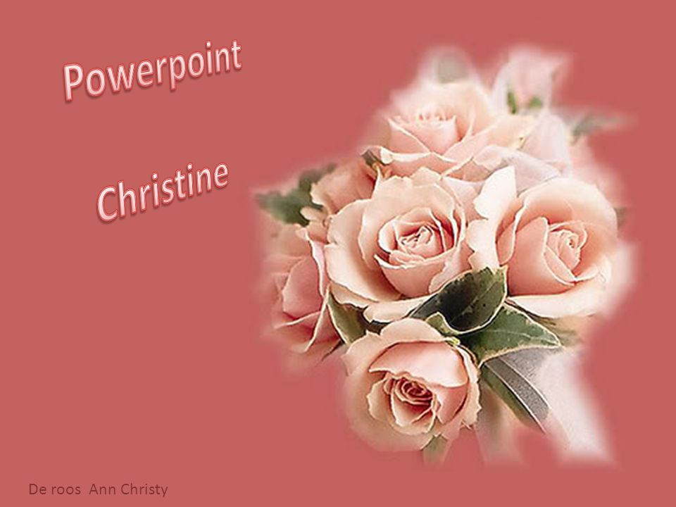 Powerpoint Christine De roos Ann Christy