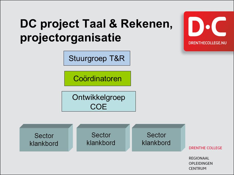 DC project Taal & Rekenen, projectorganisatie