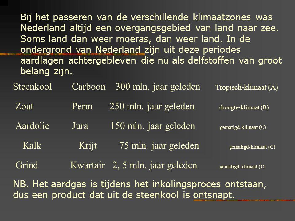 Steenkool Carboon 300 mln. jaar geleden Tropisch-klimaat (A)