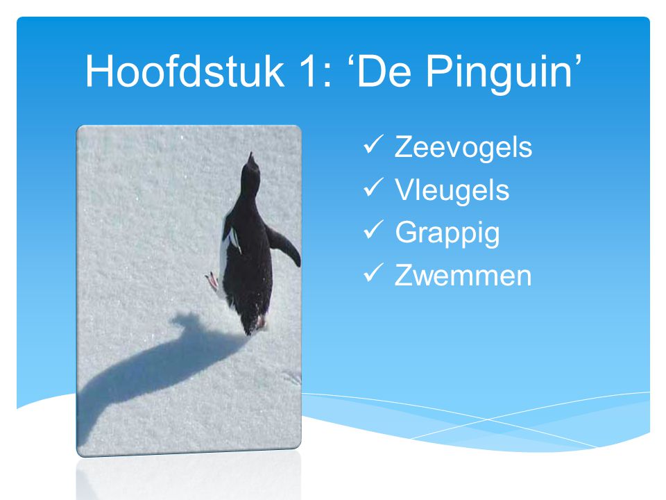 Hoofdstuk 1: ‘De Pinguin’