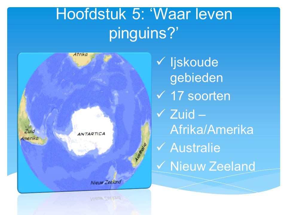Hoofdstuk 5: ‘Waar leven pinguins ’