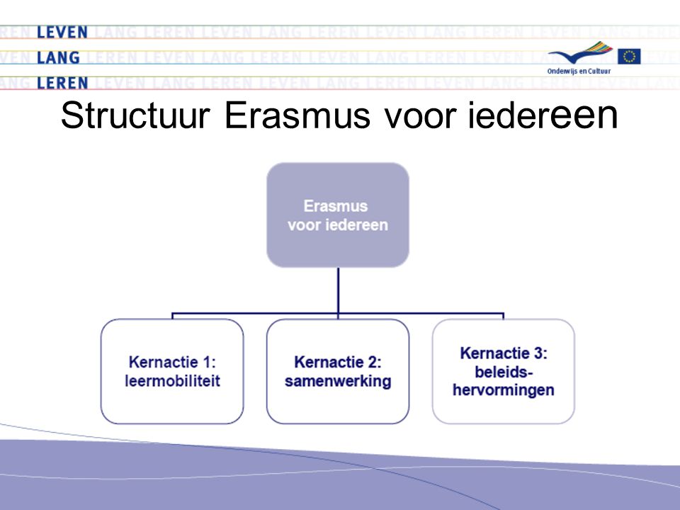 Structuur Erasmus voor iedereen