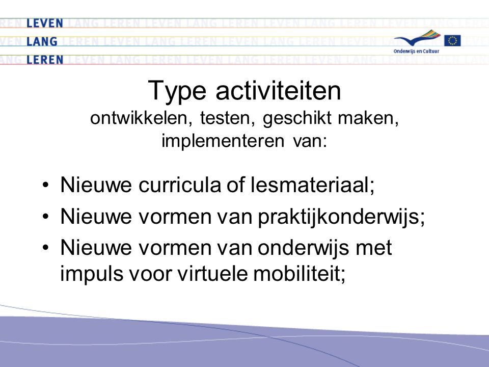 Type activiteiten ontwikkelen, testen, geschikt maken, implementeren van: