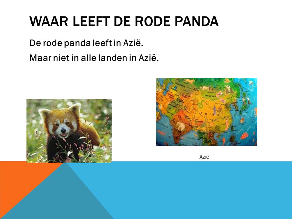 Waar leeft de rode panda