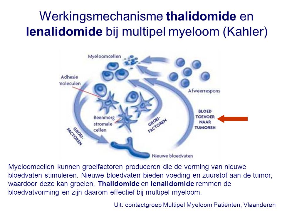 Werkingsmechanisme thalidomide en lenalidomide bij multipel myeloom (Kahler)