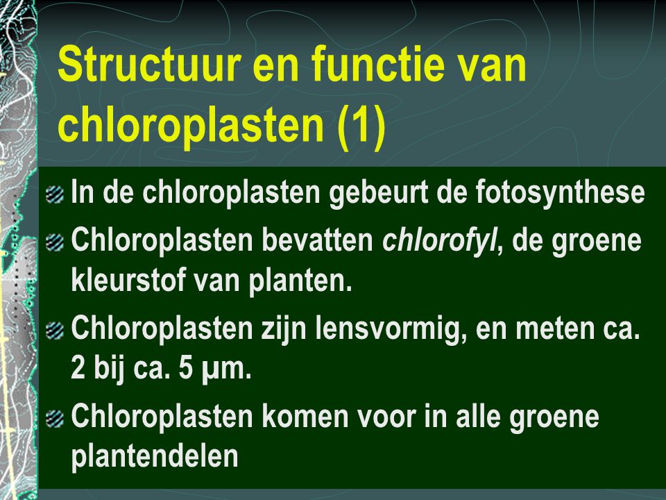 Structuur en functie van chloroplasten (1)