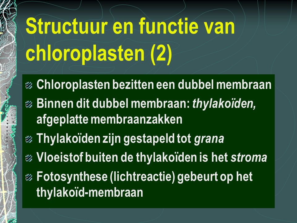 Structuur en functie van chloroplasten (2)