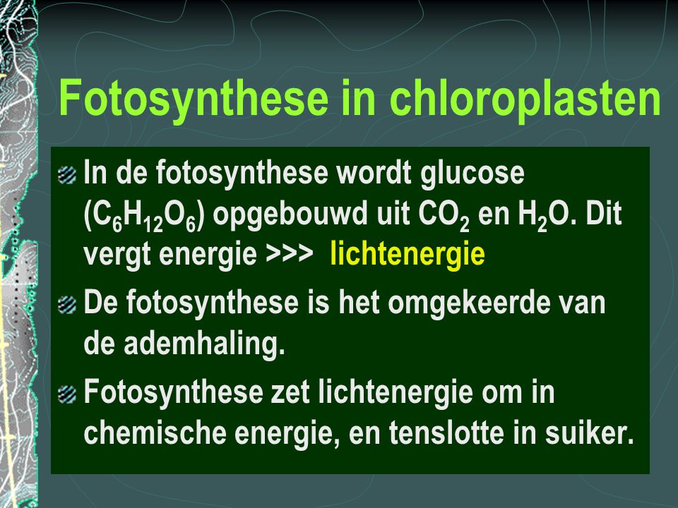 Fotosynthese in chloroplasten