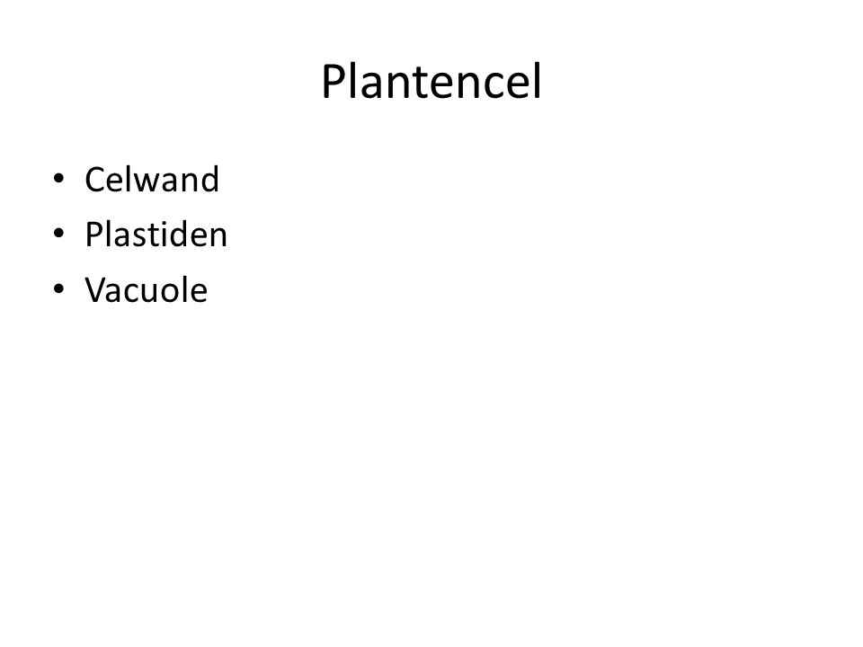 Plantencel Celwand Plastiden Vacuole