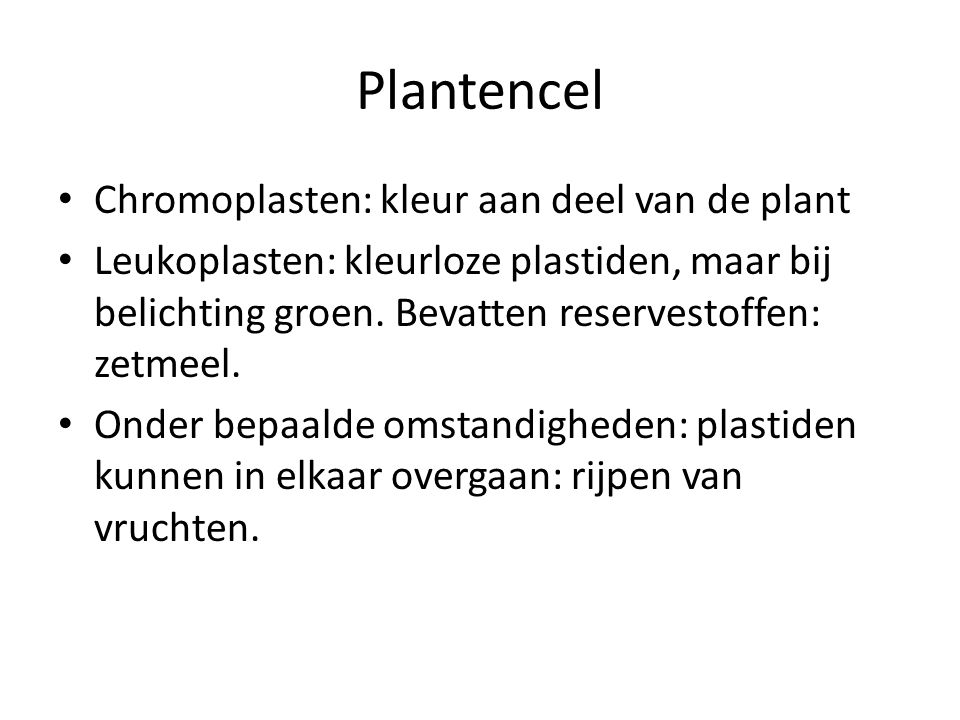 Plantencel Chromoplasten: kleur aan deel van de plant