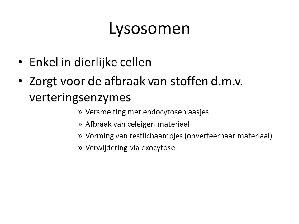 Lysosomen Enkel in dierlijke cellen
