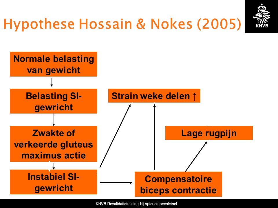 Hypothese Hossain & Nokes (2005)