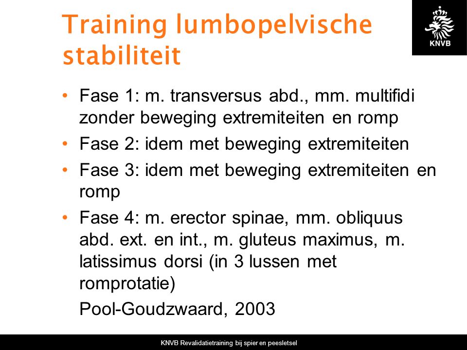 Training lumbopelvische stabiliteit
