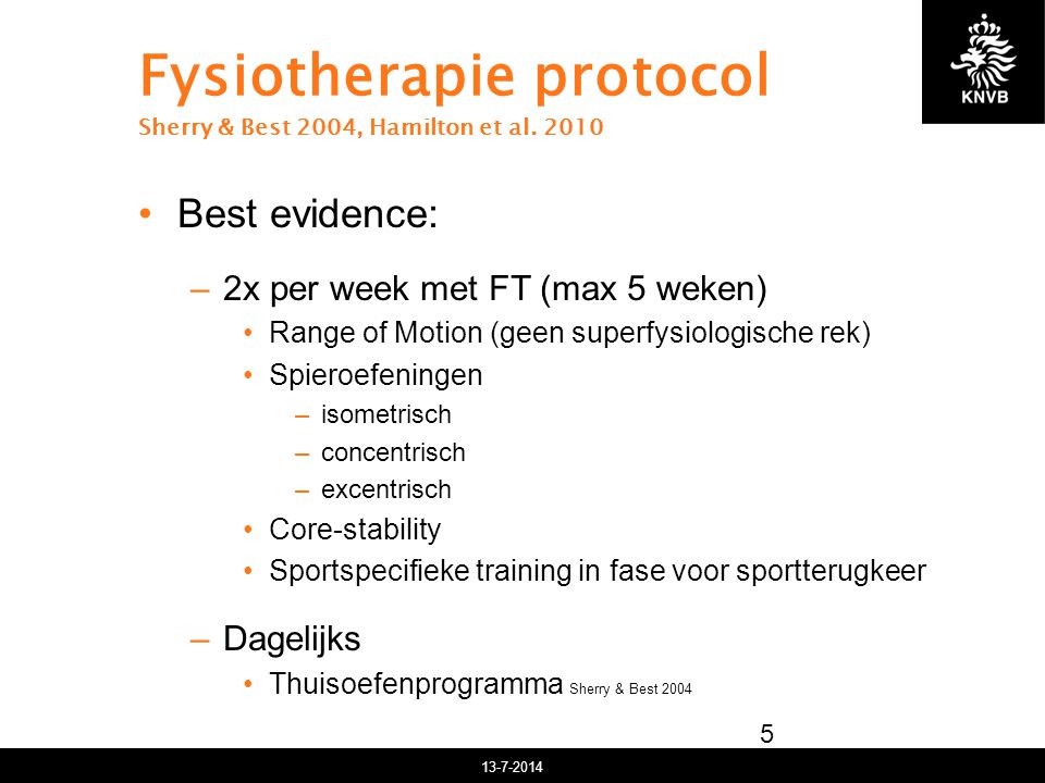 Fysiotherapie protocol Sherry & Best 2004, Hamilton et al. 2010