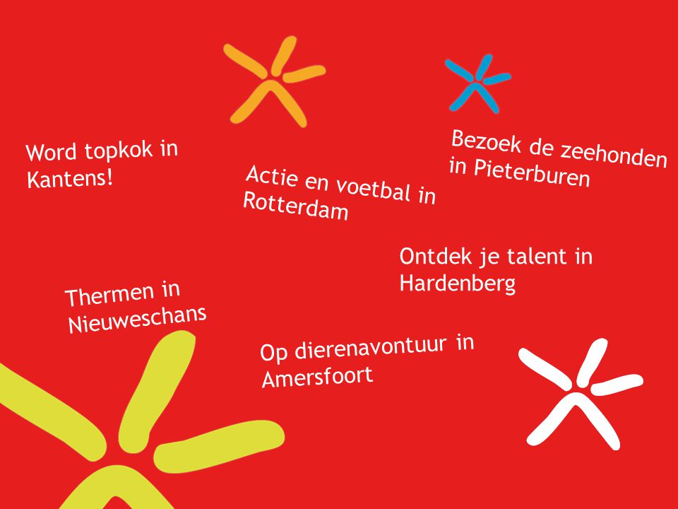 Word topkok in Kantens! Bezoek de zeehonden in Pieterburen. Actie en voetbal in Rotterdam. Ontdek je talent in Hardenberg.