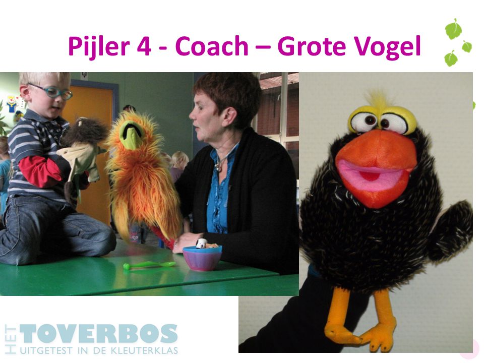 Pijler 4 - Coach – Grote Vogel