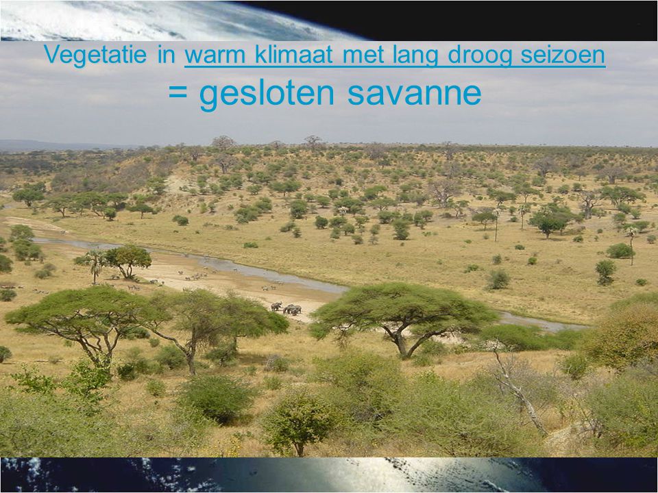 Vegetatie in warm klimaat met lang droog seizoen = gesloten savanne