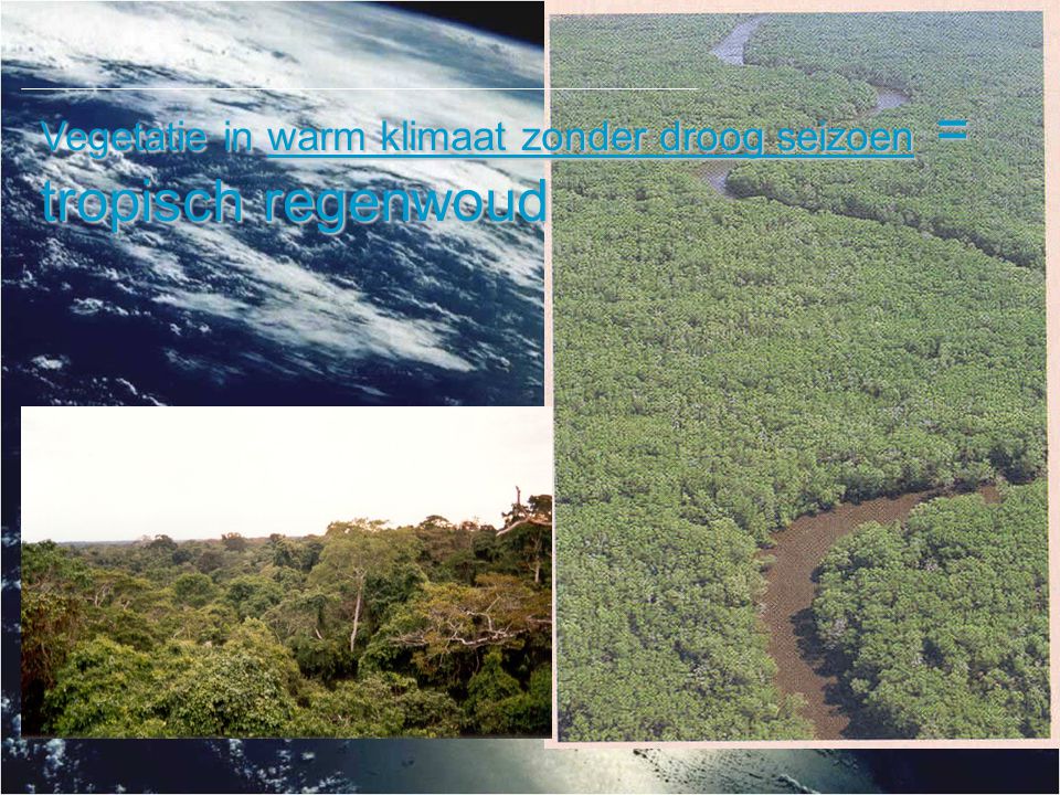 Vegetatie in warm klimaat zonder droog seizoen = tropisch regenwoud