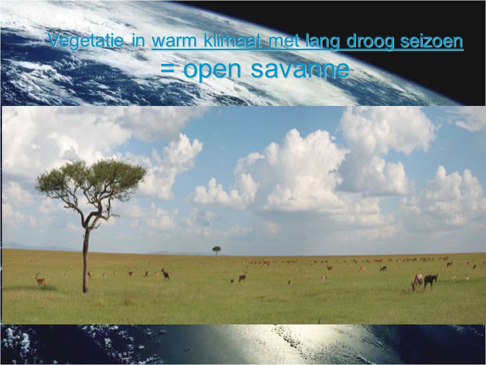 Vegetatie in warm klimaat met lang droog seizoen = open savanne