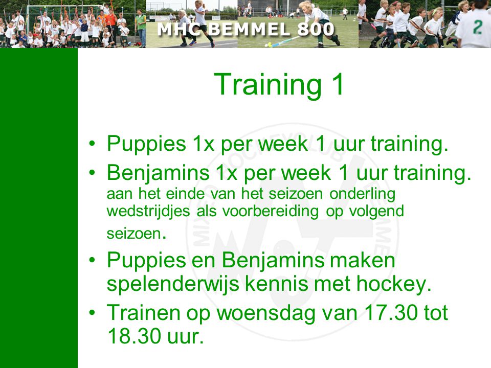 Training 1 Puppies 1x per week 1 uur training.