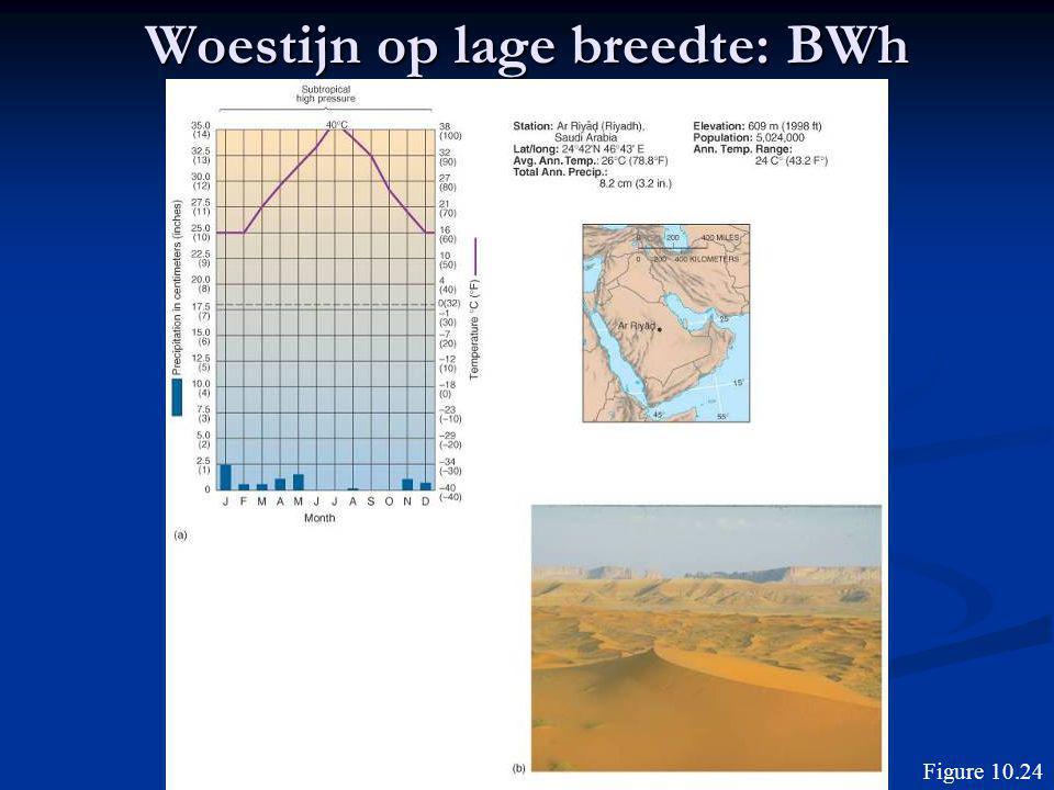 Woestijn op lage breedte: BWh
