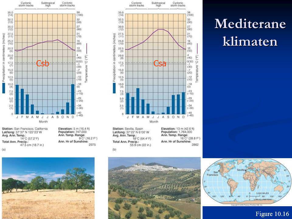 Mediterane klimaten Csb Csa Figure 10.16