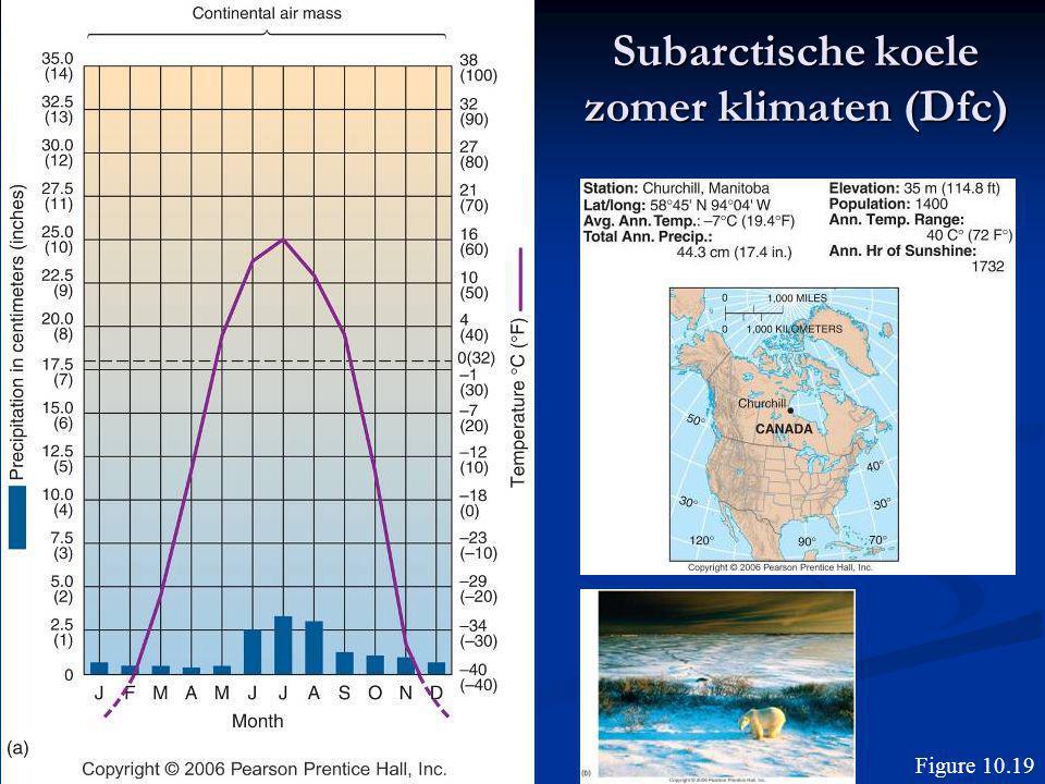 Subarctische koele zomer klimaten (Dfc)