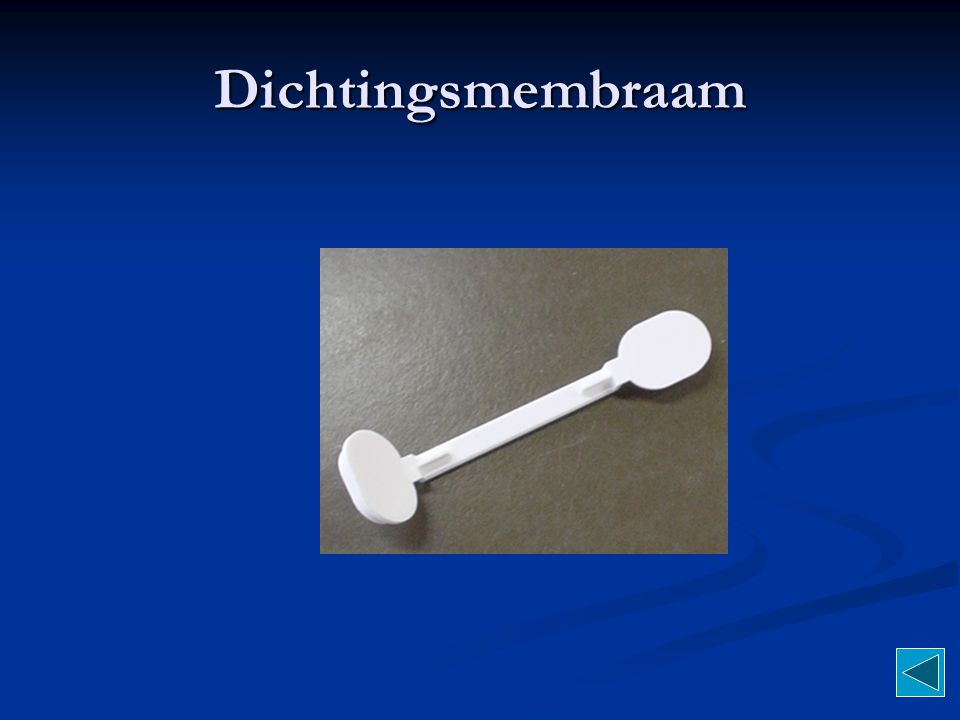 Dichtingsmembraam