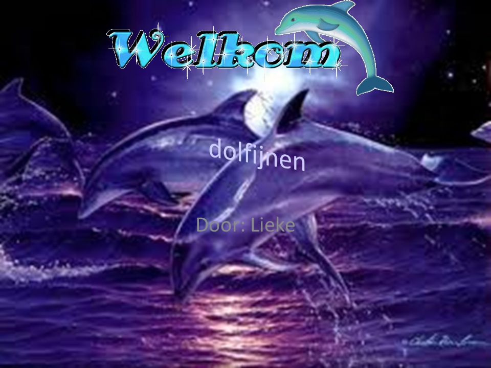 dolfijnen Door: Lieke