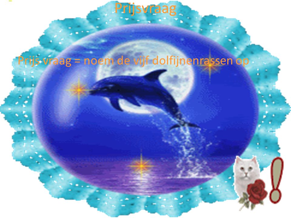Prijsvraag Prijs vraag = noem de vijf dolfijnenrassen op