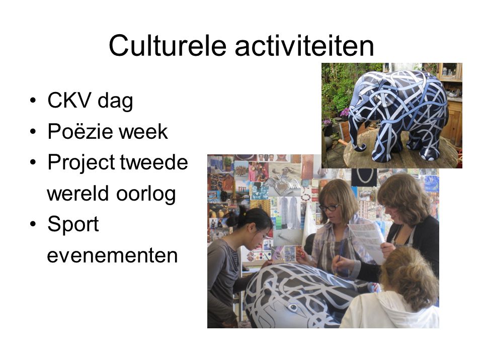Culturele activiteiten