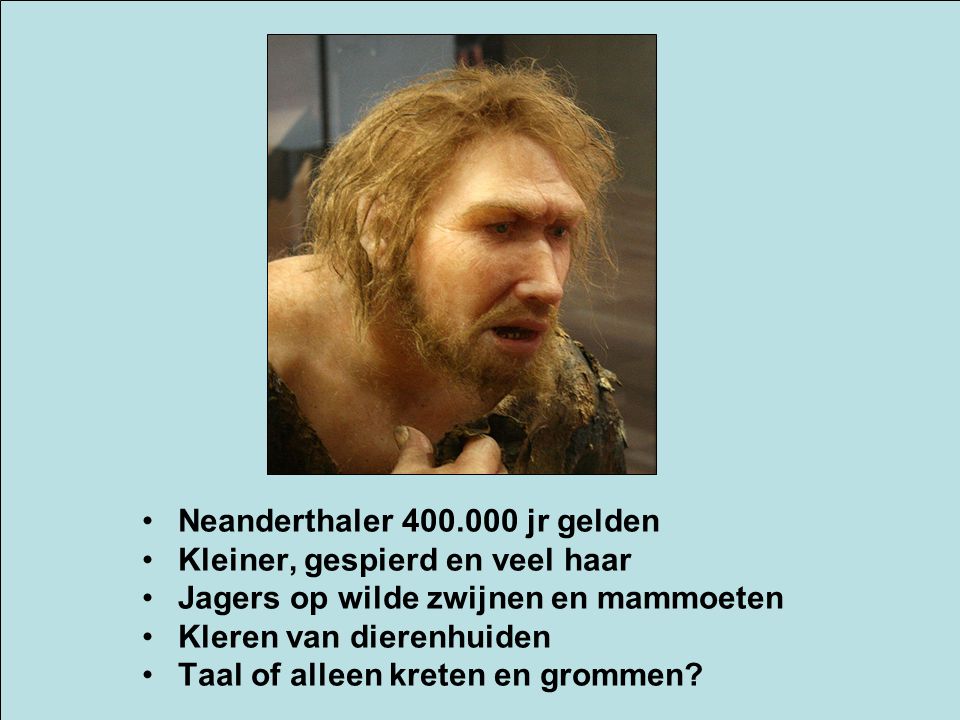 Neanderthaler jr gelden