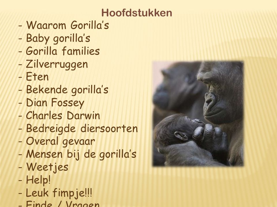 Bedreigde diersoorten Overal gevaar Mensen bij de gorilla’s Weetjes