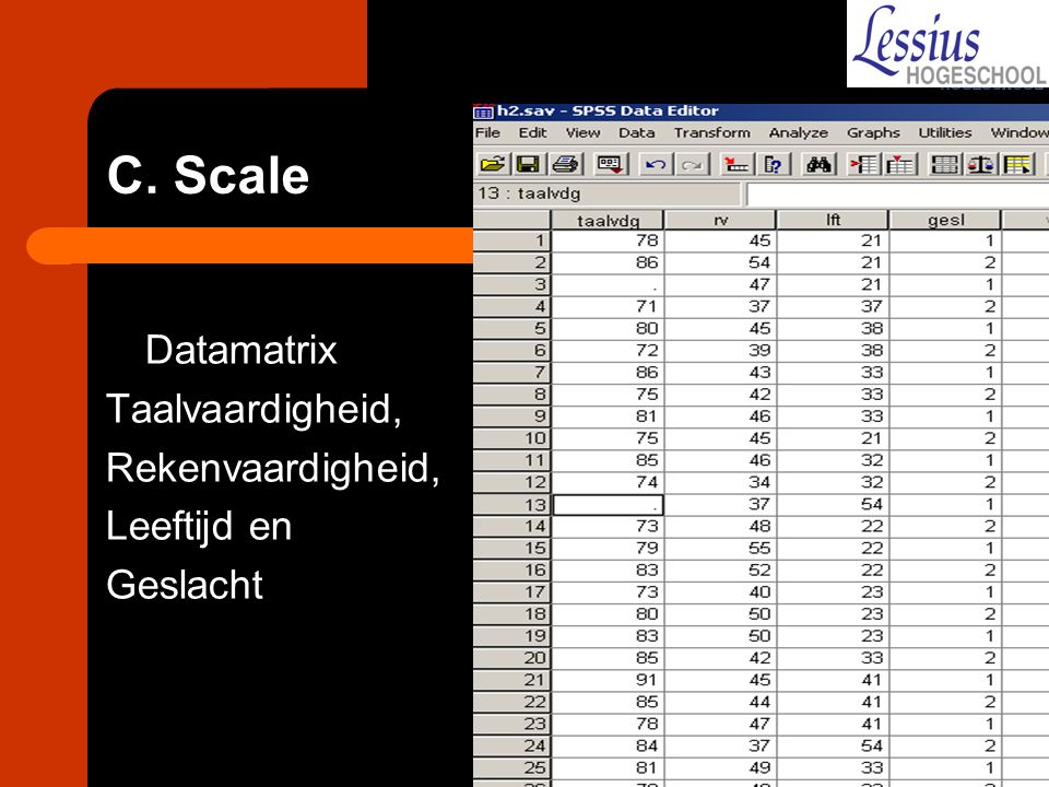 C. Scale Datamatrix Taalvaardigheid, Rekenvaardigheid, Leeftijd en