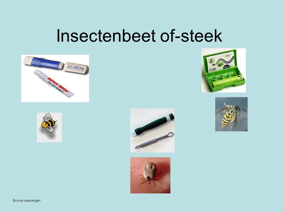 Insectenbeet of-steek