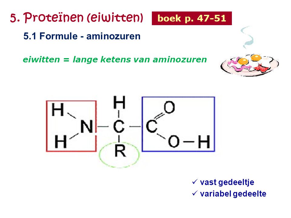 5. Proteïnen (eiwitten) 5.1 Formule - aminozuren boek p