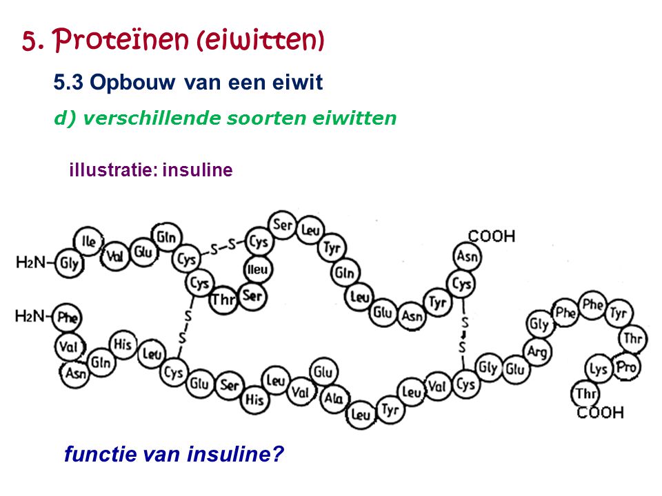 5. Proteïnen (eiwitten) 5.3 Opbouw van een eiwit functie van insuline