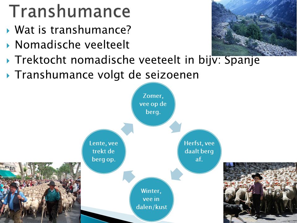 Transhumance Wat is transhumance Nomadische veelteelt