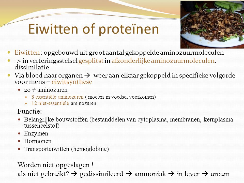 Eiwitten of proteïnen Functie: Worden niet opgeslagen !