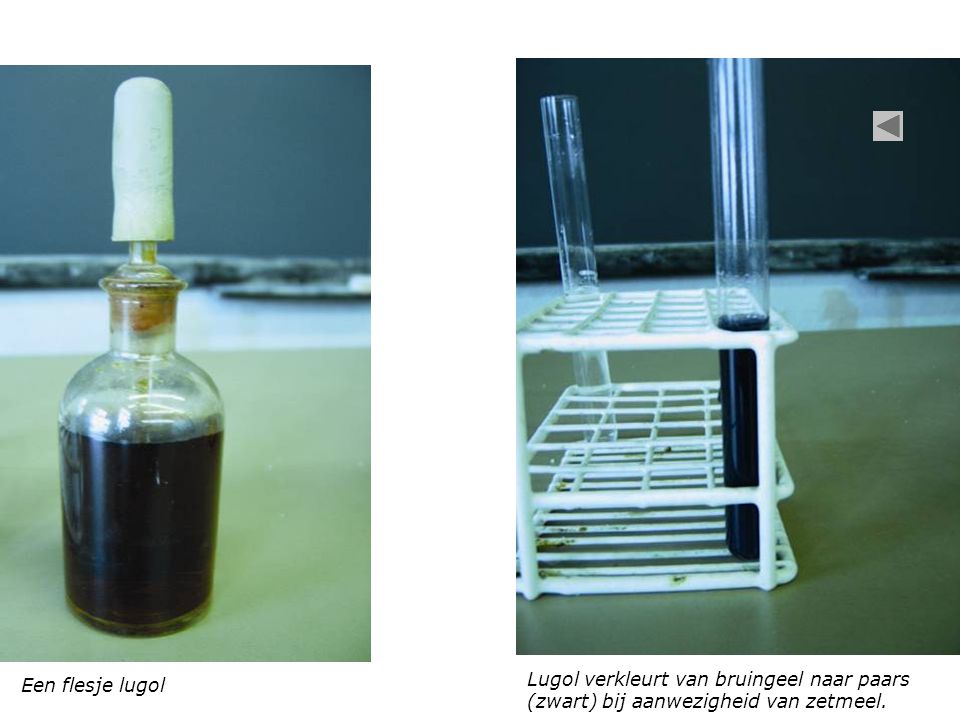 Een flesje lugol Lugol verkleurt van bruingeel naar paars (zwart) bij aanwezigheid van zetmeel.