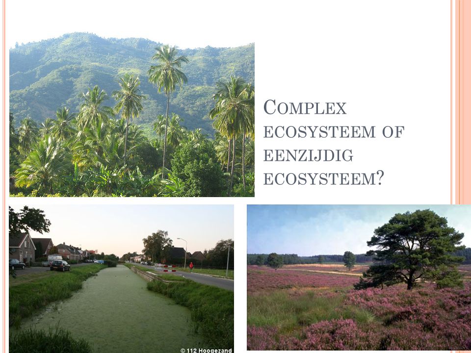 Complex ecosysteem of eenzijdig ecosysteem