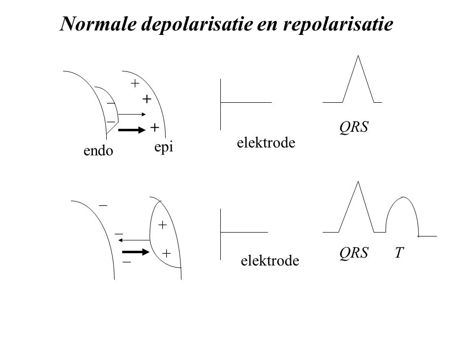 Normale depolarisatie en repolarisatie