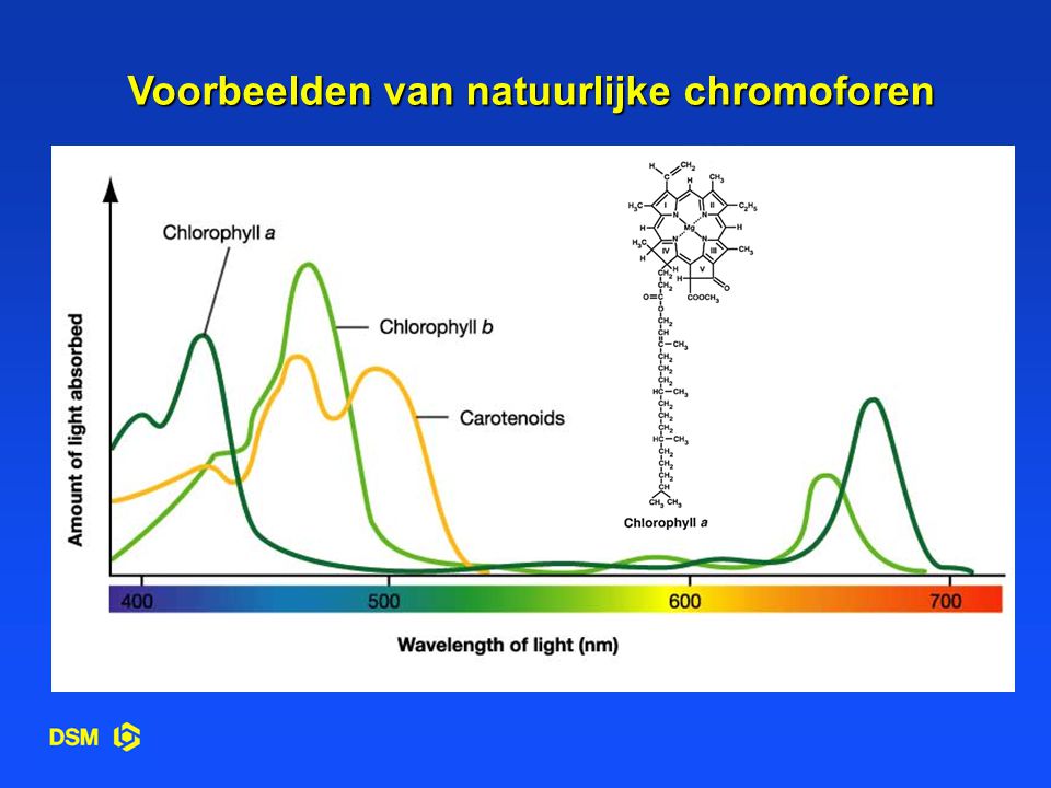 Voorbeelden van natuurlijke chromoforen