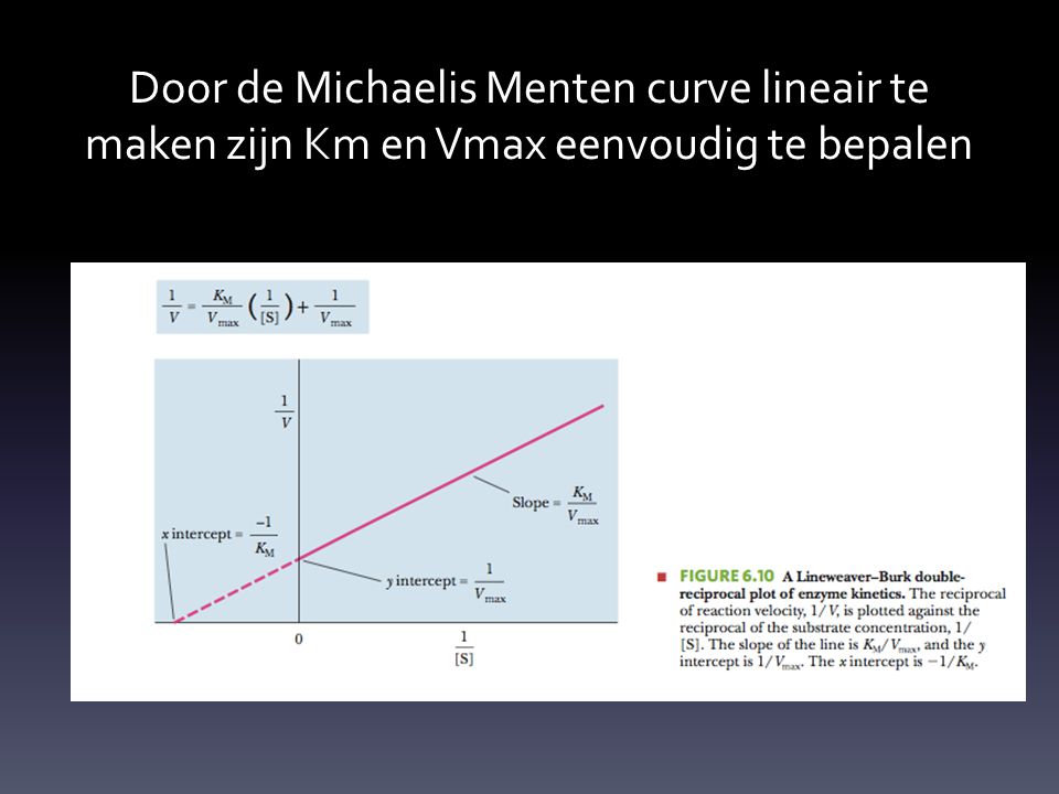 Door de Michaelis Menten curve lineair te maken zijn Km en Vmax eenvoudig te bepalen