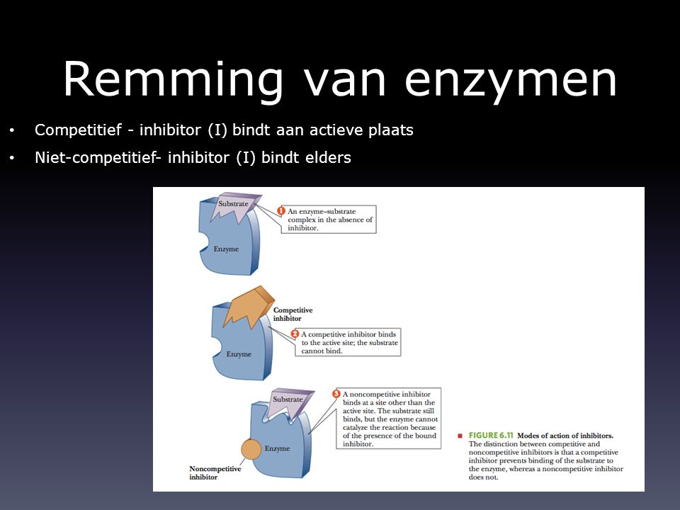 Remming van enzymen Competitief - inhibitor (I) bindt aan actieve plaats.
