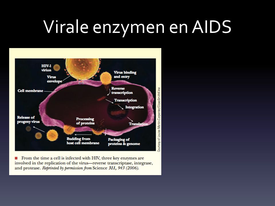 Virale enzymen en AIDS