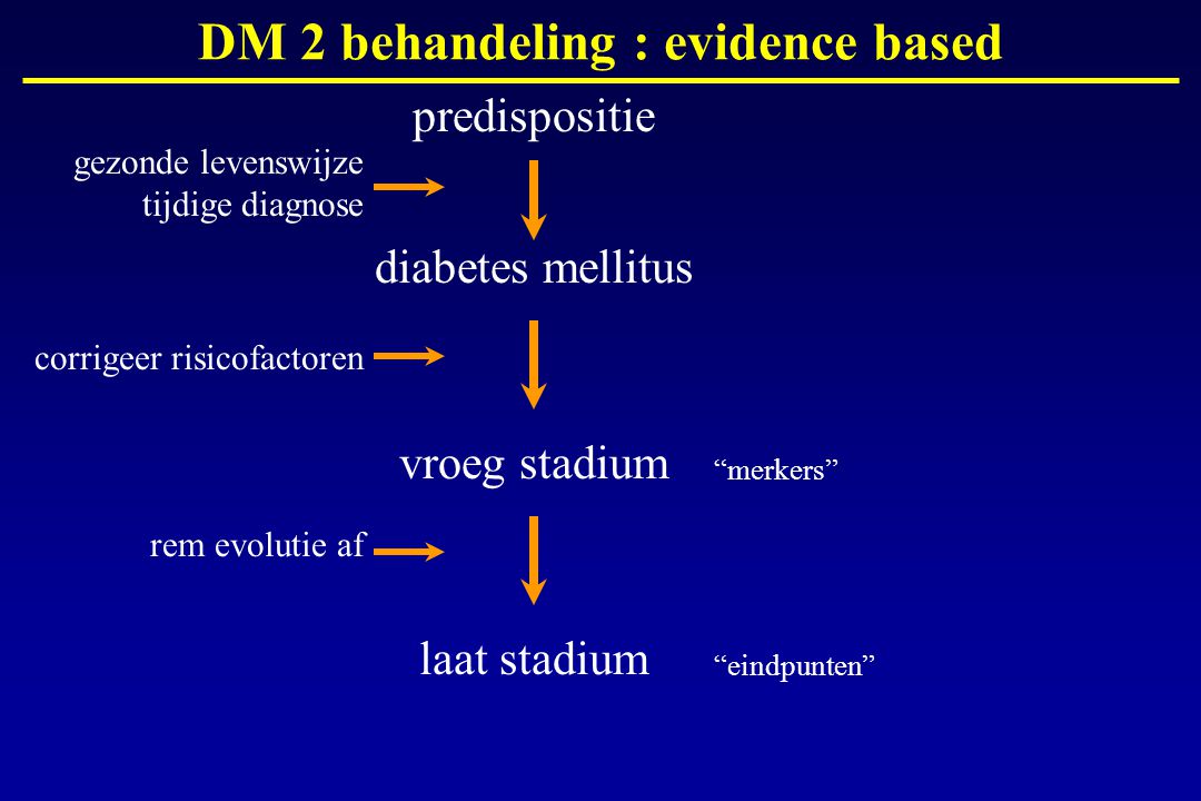 DM 2 behandeling : evidence based