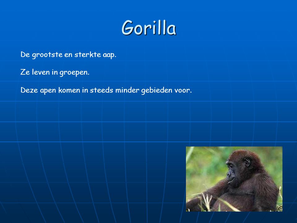 Gorilla De grootste en sterkte aap. Ze leven in groepen.